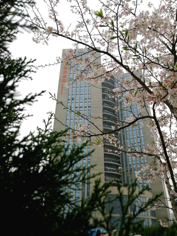 首页 - MG电子官方网站