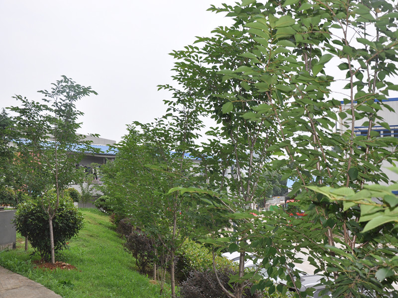 首页 - MG电子官方网站