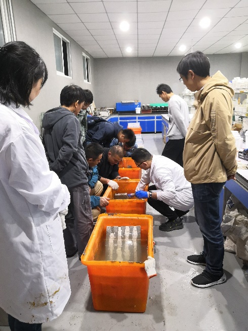 首页 - MG电子官方网站