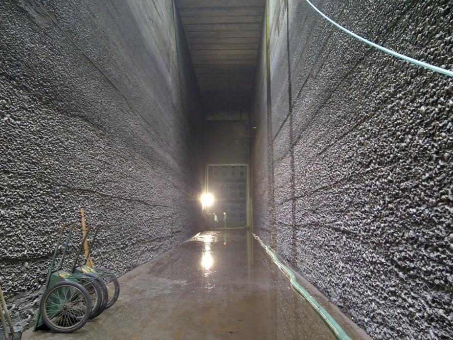 首页 - MG电子官方网站