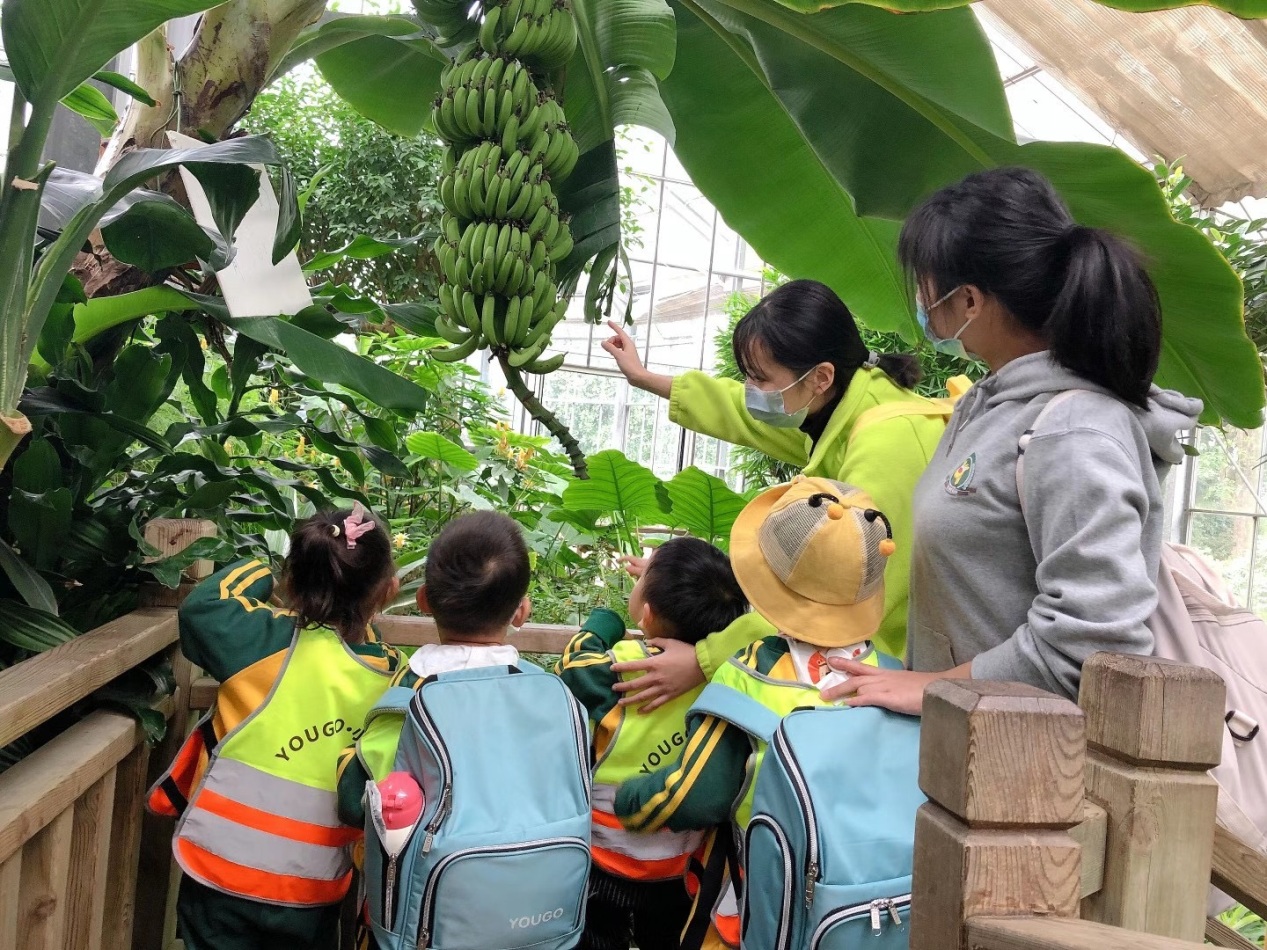 首页 - MG电子官方网站